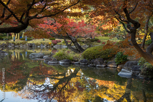 autumn in the park