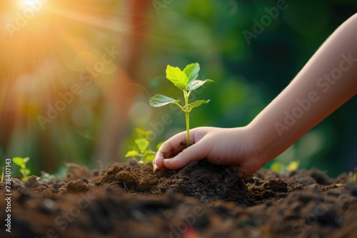 An Asian girl's wrist is planting a small tree. nature conservation bokeh background bright morning light