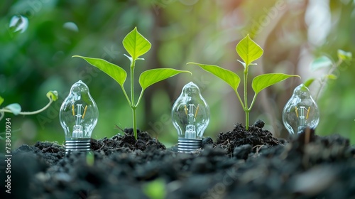 Light bulb is located on soil. plants grow on stacked coins Renewable energy generation is essential for the future. Renewable energy-based green business can limit climate change and : Generative AI