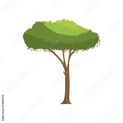 Drawn tree on white background
