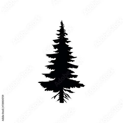 Silhouette of coniferous tree on white background