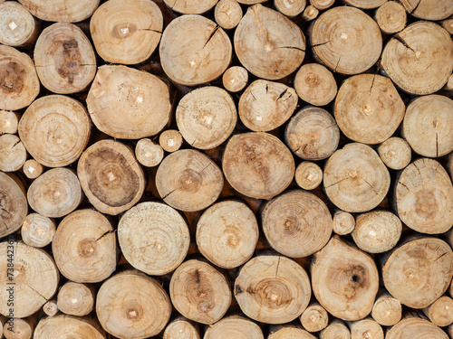 Stacked Timber Logs Background