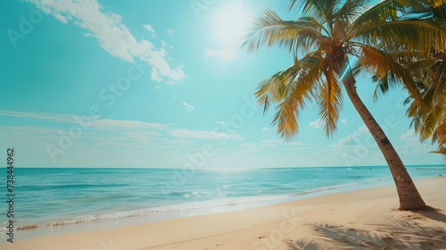 Tropical beach with palm trees during a sunny day A calm and sunny place to rest and dream beach ocean clear clean sand coast beach and tree leaf background © Ziyan Yang