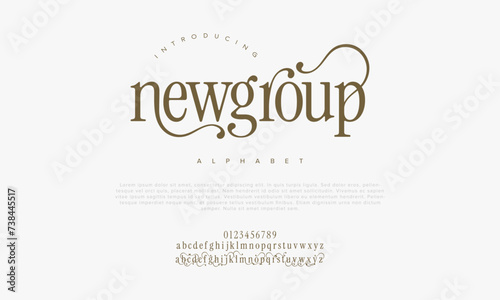 Newgroup premium luxury elegant alphabet letters and numbers. Elegant wedding typography classic serif font decorative vintage retro. Creative vector illustration