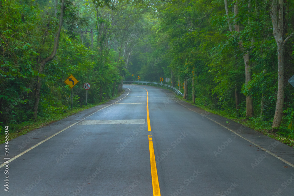 Obraz premium road in the forest