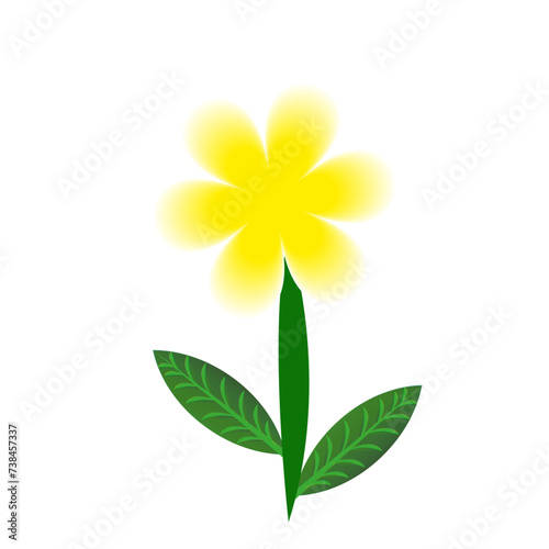Beautiful Kathgolap Flower design  photo