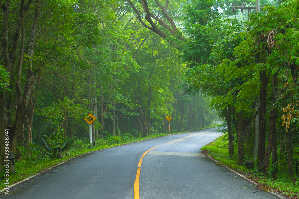 Road up the mountain in the morning forest Road up the mountain in the morning forest