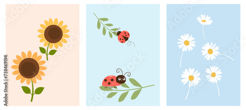 Sunflower, green leaf, ladybug and daisy flower vector illustration.