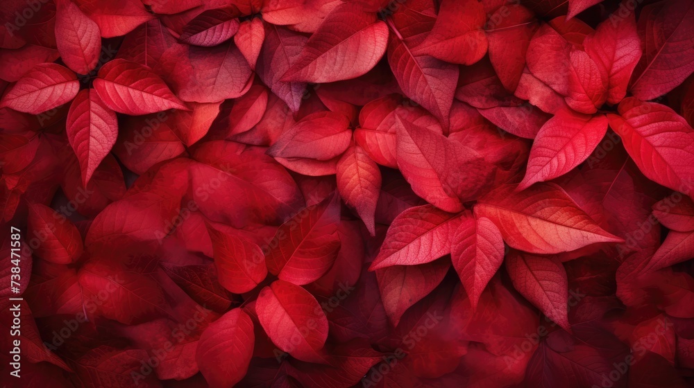 Background of bright red leaves. Abstract beautiful, juicy background, natural texture. A place for the text.