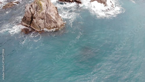 aerial view of hector's dolphines, new zealand native marine mammals recorded near kaikoura peninsula photo