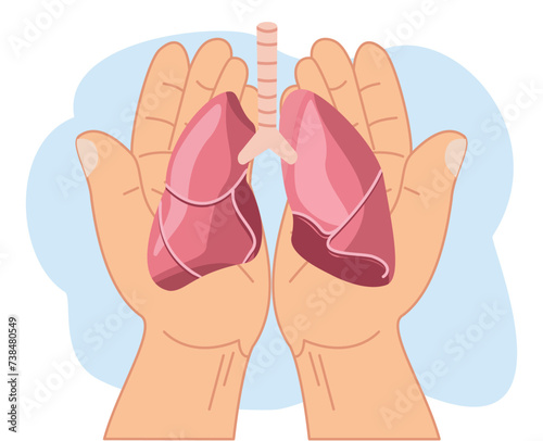Hands holding lung model, world tuberculosis day, world organ donation day, world no tobacco day, lung cancer, organ donation, respiratory and chest concept