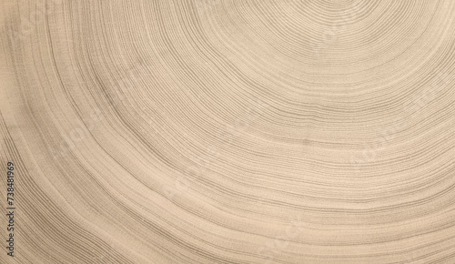 Natural unfinished wood slice tree rings background. Smooth curved lines in a spiral pattern. photo