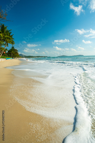 Morning sunrise on white sand sea beach wave tropical forest
