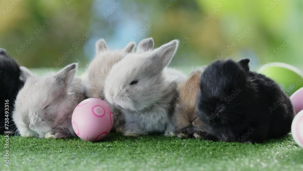 Child hand collecting easter eggs with adorable bunny on grass. Kid picking and decorating painted eggs with group of fluffy rabbits on artificial green grass. Child hand collecting easter eggs with adorable bunny on grass. Kid picking and decorating painted eggs with group of fluffy rabbits on artificial green grass.