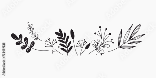 Trendy flowers for  decorations. Hand drawn line wedding decoraton  elegant leaves for invitation save the date card. Botanical rustic trendy greenery