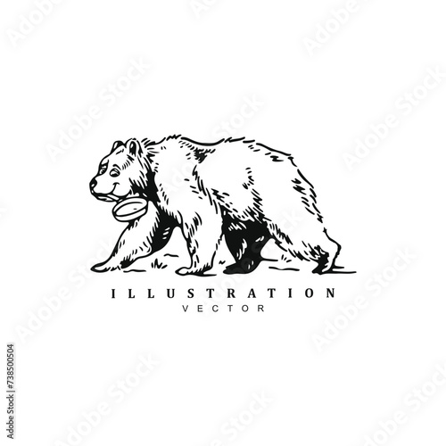 Vintage retro hand drawn hungry wild bear biting pan vector art illustration