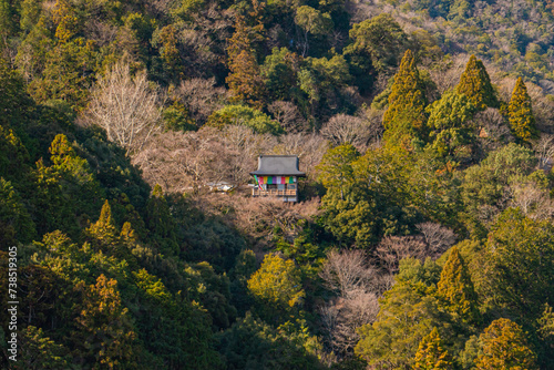 嵐山公園の展望台から見える千光寺