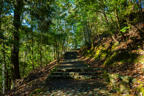 嵐山公園の登山道