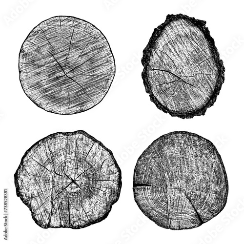 Wood texture cross section of tree rings. Cut slice of wooden stump isolated on white. Textured surface with rings and cracks. Black background made of hardwood from the forest. Vector illustration.