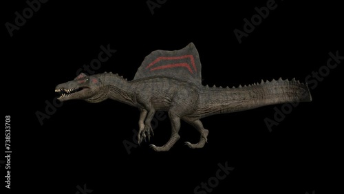 3D rotating spinosaurus dinosaur in transparent background