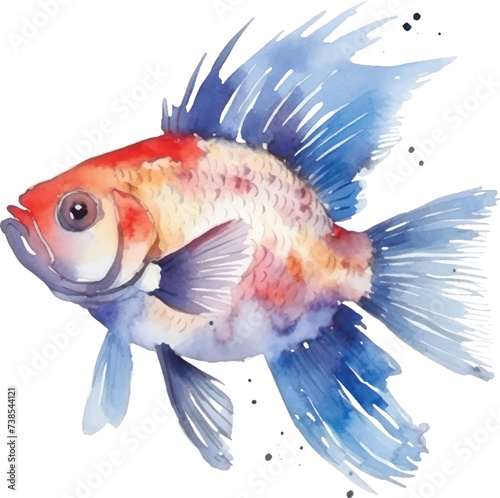 goldfish watercolor Illustration for greeting cards, printing and other design projects.