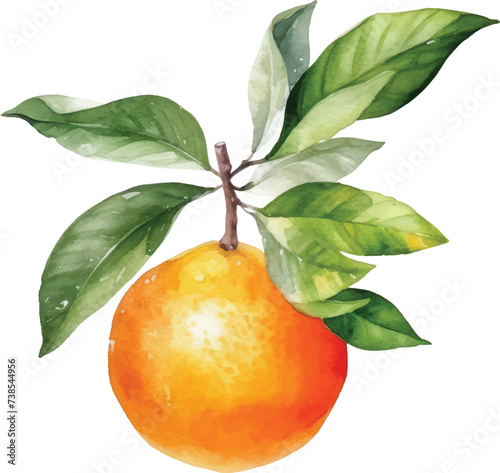 Orange watercolor illustration isolated on white transparent background.
