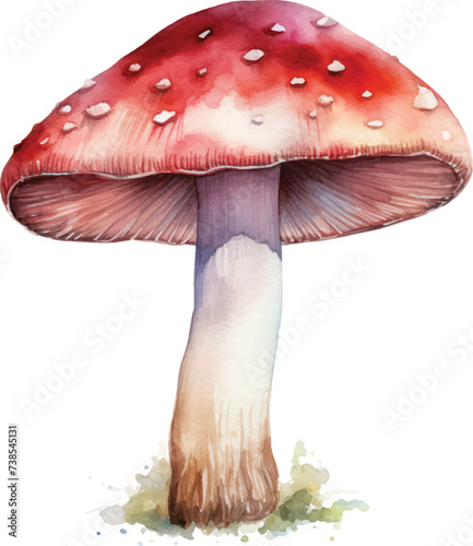 red mushroom watercolor illustration isolated on white transparent background. © Sachchakorn