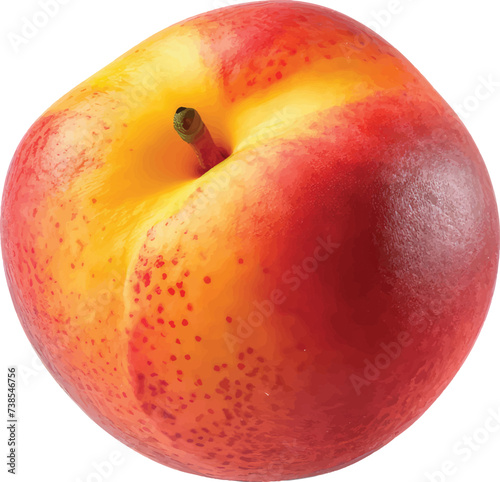 peach watercolor illustration isolated on white transparent background.