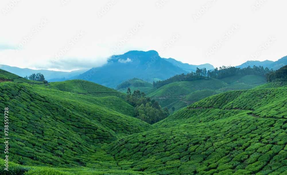 Fototapeta premium landscape with clouds