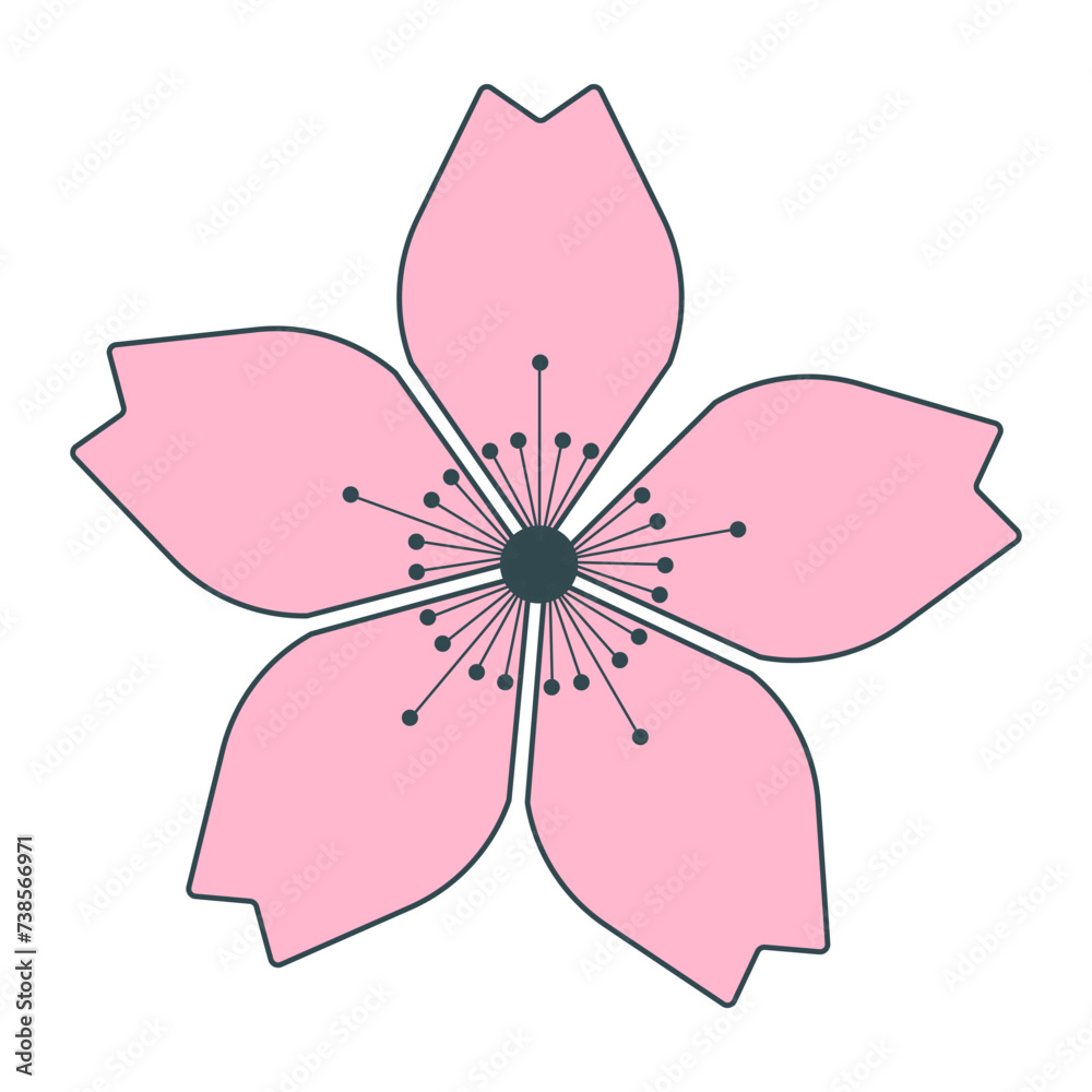 Fototapeta premium Sakura flower. Floral design element