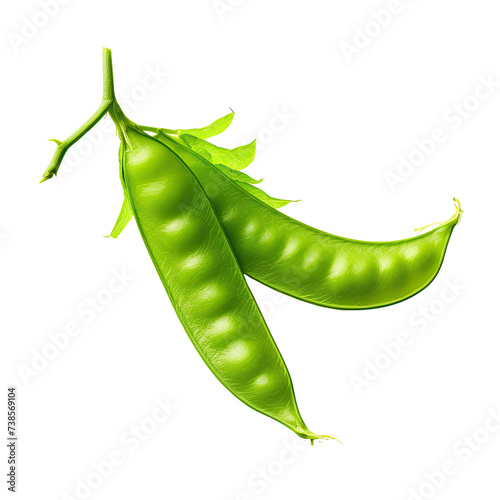 Winged bean on transparent background photo