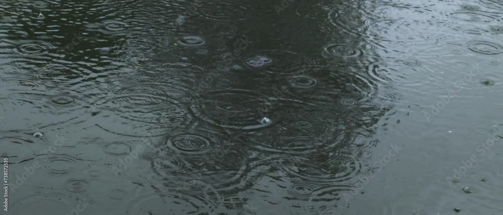 natural raindrops on pond water, low-angle view, dark and wide cinematic environment natural raindrops on pond water, low-angle view, dark and wide cinematic environment