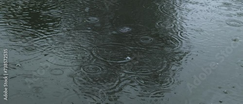 natural raindrops on pond water, low-angle view, dark and wide cinematic environment