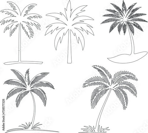 Palm trees sketch  minimalist  elegant  tropical  exotic  ideal for wallpaper  textile  decor. Trendy  stylish  black and white  serene  calm  aesthetic  modern  contemporary
