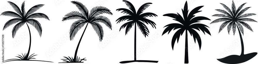 Black palm tree silhouettes, tropical vacation concept, white background. Ideal for travel, summer, beach, nature, exotic, relaxation, scenery, landscape, destination Black palm tree silhouettes, tropical vacation concept, white background. Ideal for travel, summer, beach, nature, exotic, relaxation, scenery, landscape, destination
