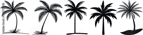 Black palm tree silhouettes, tropical vacation concept, white background. Ideal for travel, summer, beach, nature, exotic, relaxation, scenery, landscape, destination