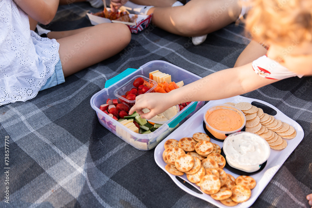 biscuits, dips and other snacks on a picnic rug biscuits, dips and other snacks on a picnic rug