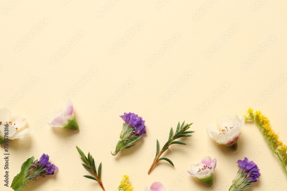 flowers flowers