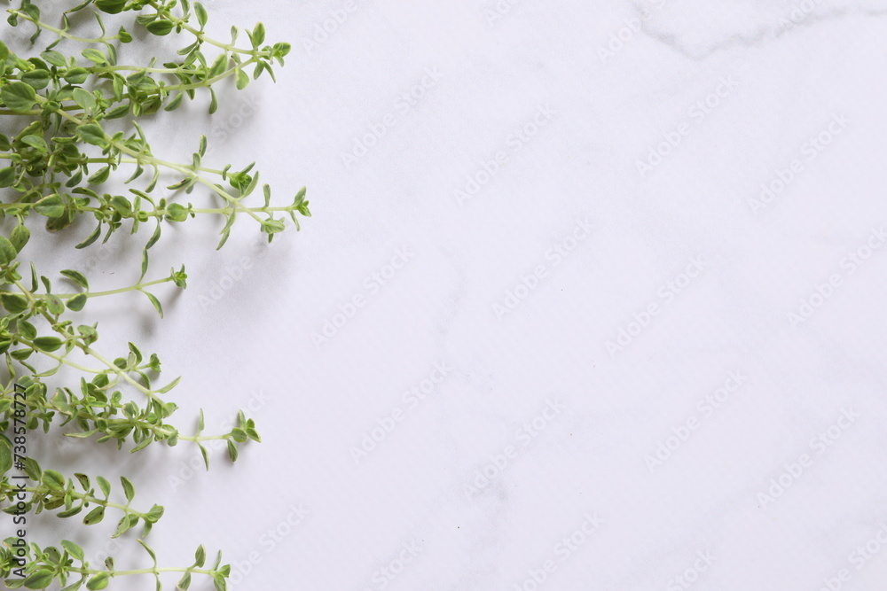 green thyme green thyme