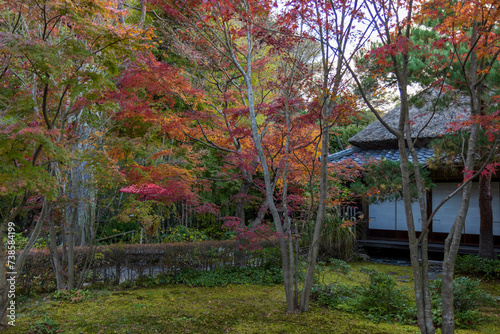 Autumn Japanese garden