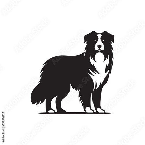 Starry Symphony: Australian Shepherd Silhouette Dancing in Celestial Harmony - Australian Shepherd Illustration - Australian Shepherd Vector Stock
