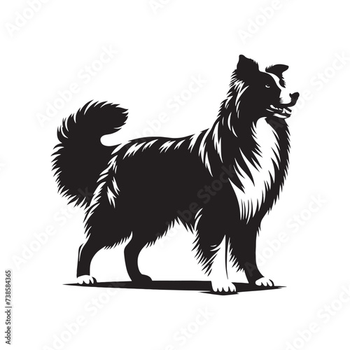 Mystical Moonlit Night: Australian Shepherd Silhouette Gazing into the Cosmos - Australian Shepherd Illustration - Australian Shepherd Vector Stock

