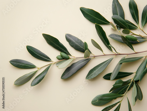 A branch of an olive tree with green leaves and olives against a beige background.