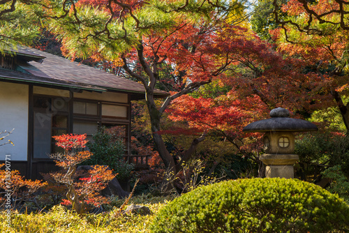 Autumn Japanese garden