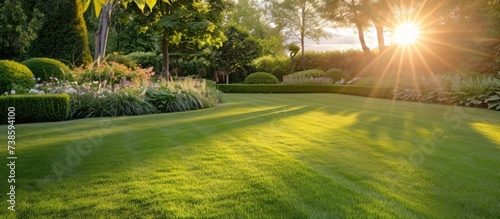 At sunset, a well-kept lawn in a spacious garden, with golden light coming through a hedge in summer.