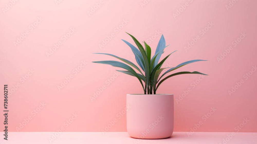 Vase with a palm tree creating a lush and decorative indoor arrangement