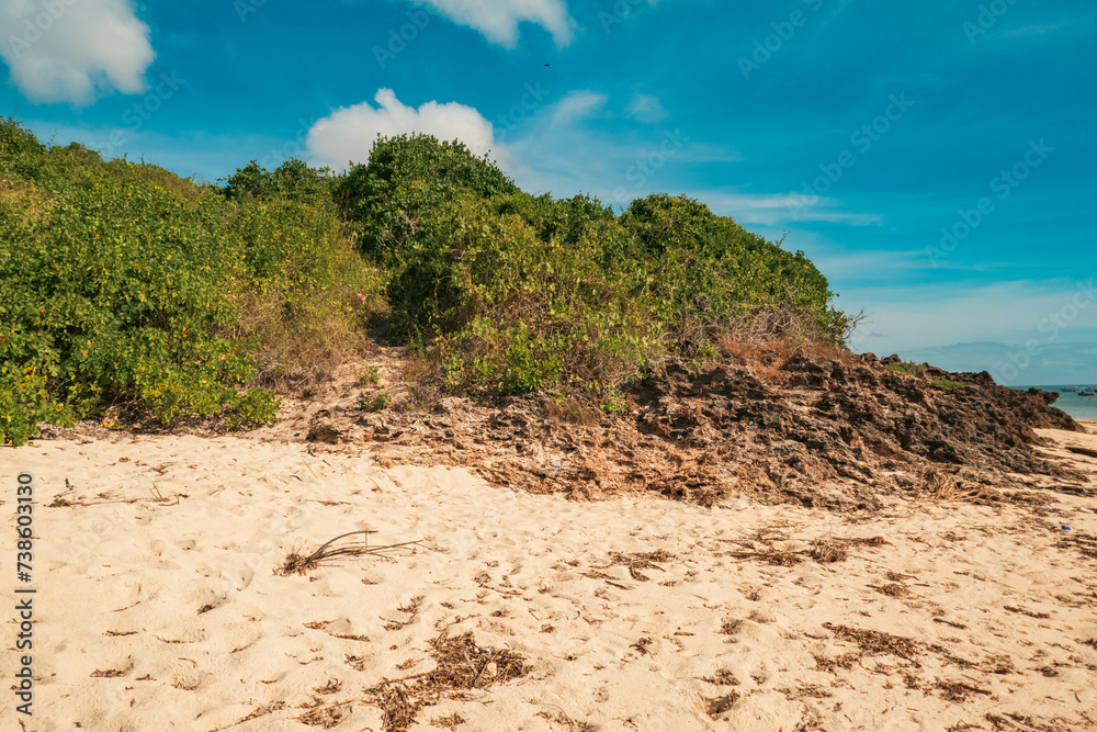 Scenic view of Mangrove trees growing on coral rocks on the beach at Malindi Beach in Kenya Scenic view of Mangrove trees growing on coral rocks on the beach at Malindi Beach in Kenya
