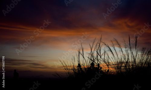 sunset in the field, Evening Sunset Vibes,What a Beauty,Nature Photographer,Wonder of Sri Lanka