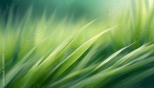Green grass with blurred background. Shallow depth of field. Toned.