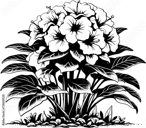 Hydnoraceae Plant icon 5